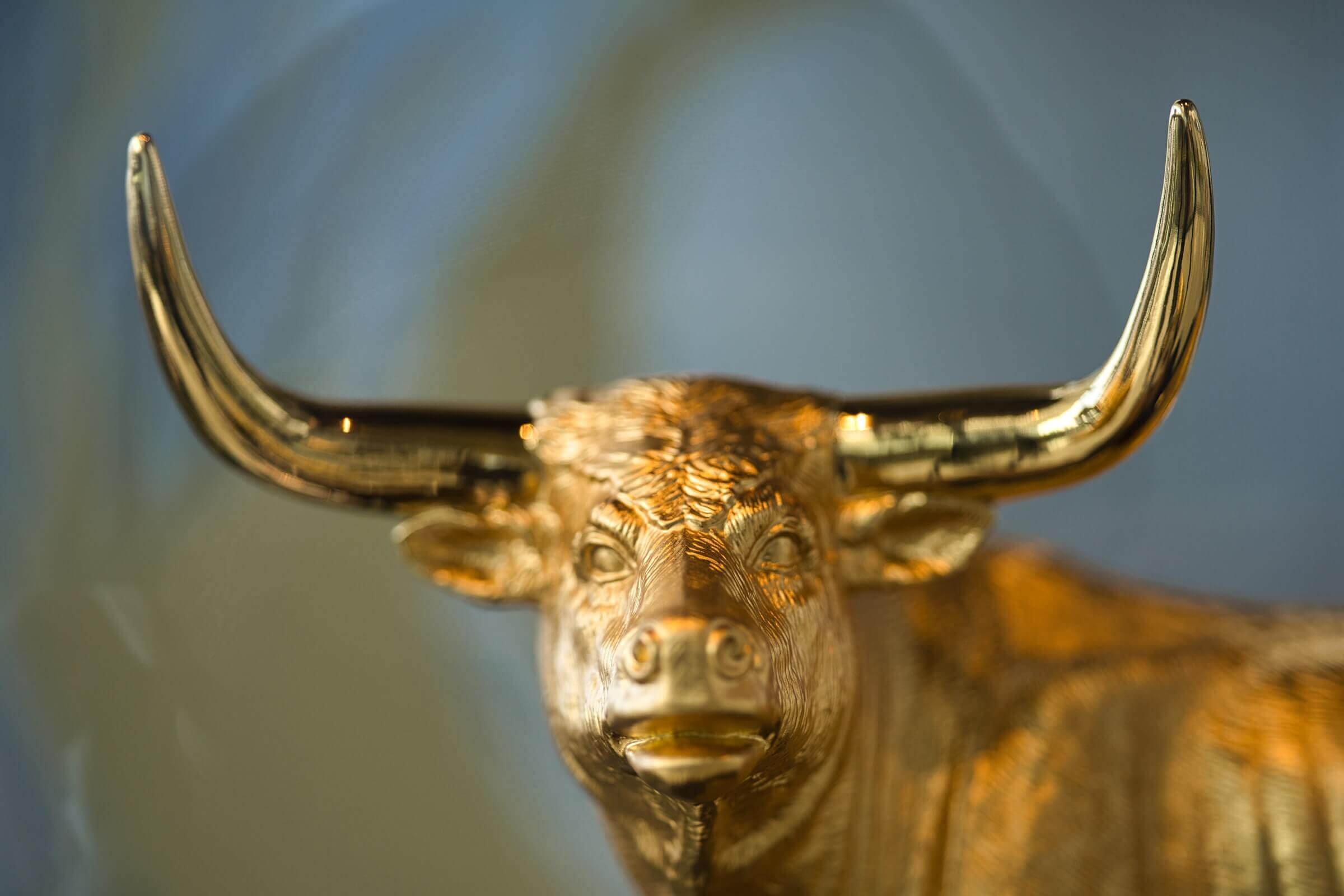 What is a Bull Market? Definition, Trading & Investing Strategies