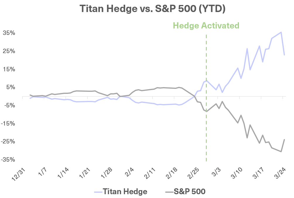 Hedge_1